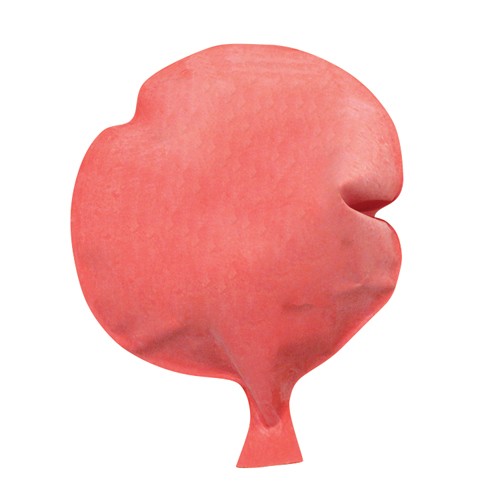 Rubber Whoopee Cushion<br>8"-1 dozen